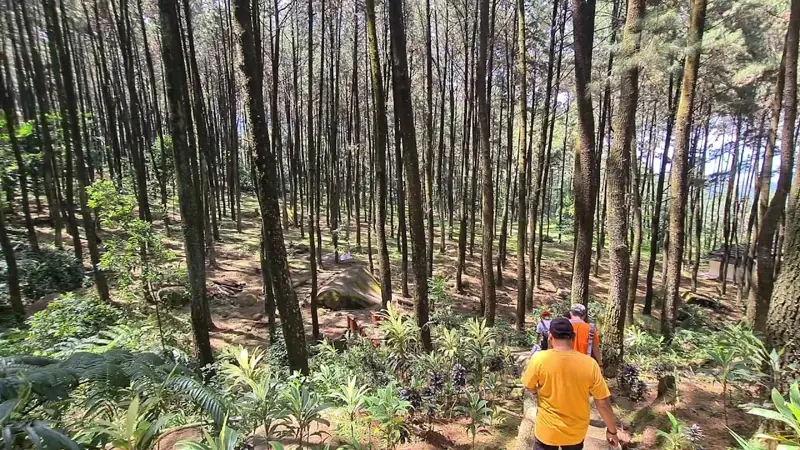 Taman Wisata Alam Gunung Pancar