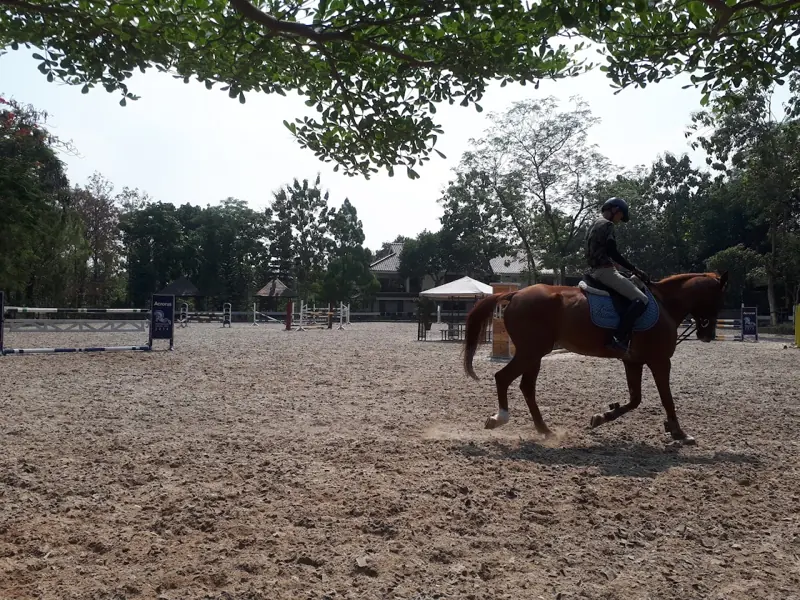 Arthayasa Stables & Country Club