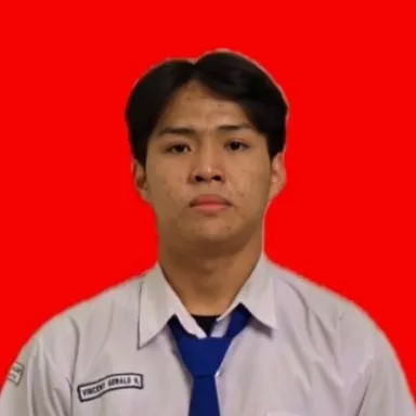 Foto Vincent Gerald Hartono